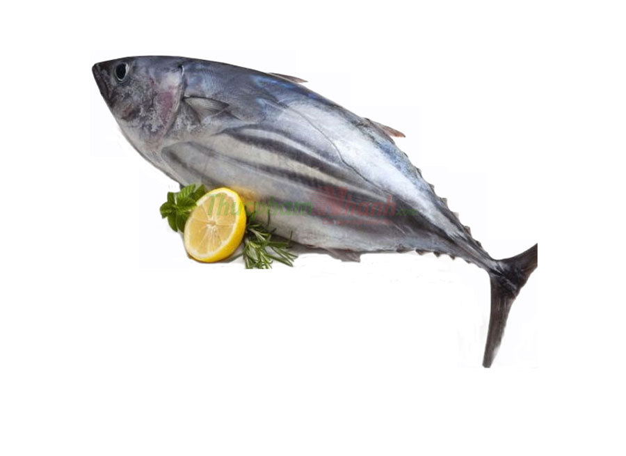 Cá ngừ đại dương nhỏ cấp đông 1kg